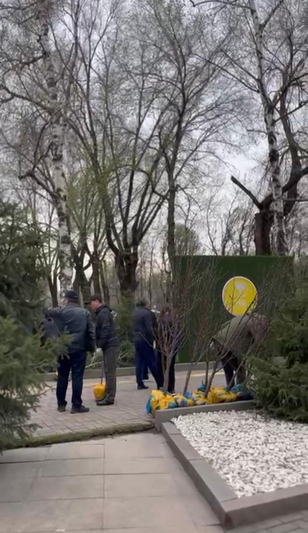 «Көктемнің алғашқы бүршігі» атты көшет отырғызу жұмыстары